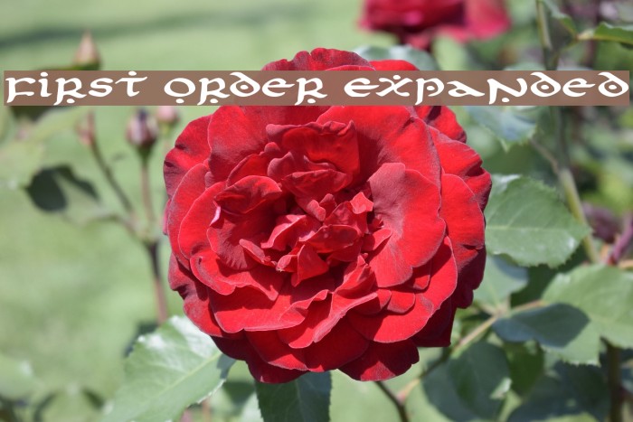 First Order Expanded Font examples
