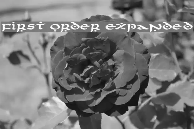 First Order Expanded Font examples