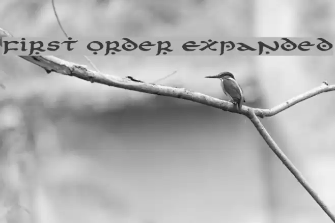 First Order Expanded Font examples