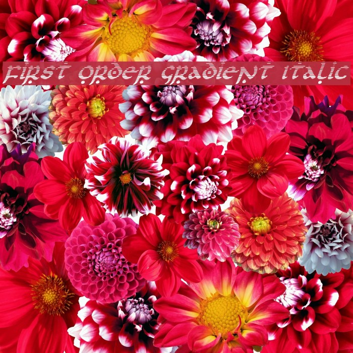First Order Gradient Italic Example 2