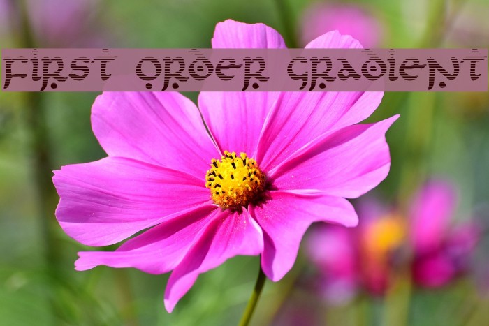 First Order Gradient Font examples
