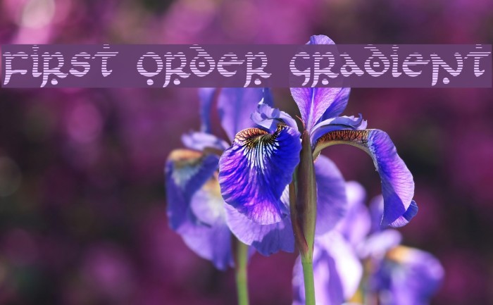 First Order Gradient Font examples