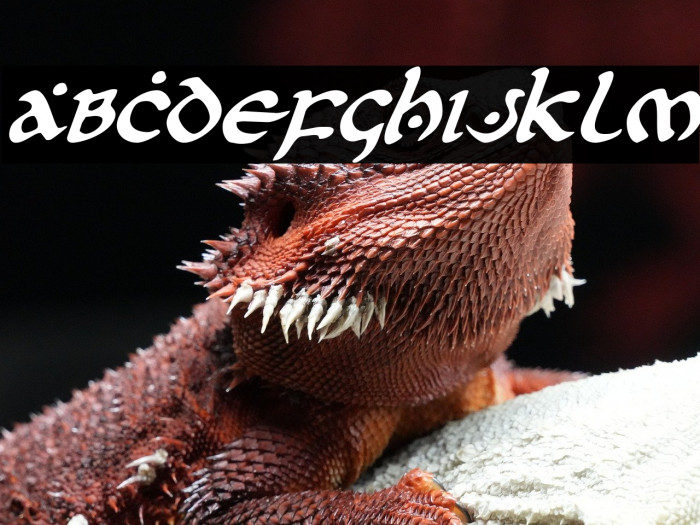 First Order Italic Example 2