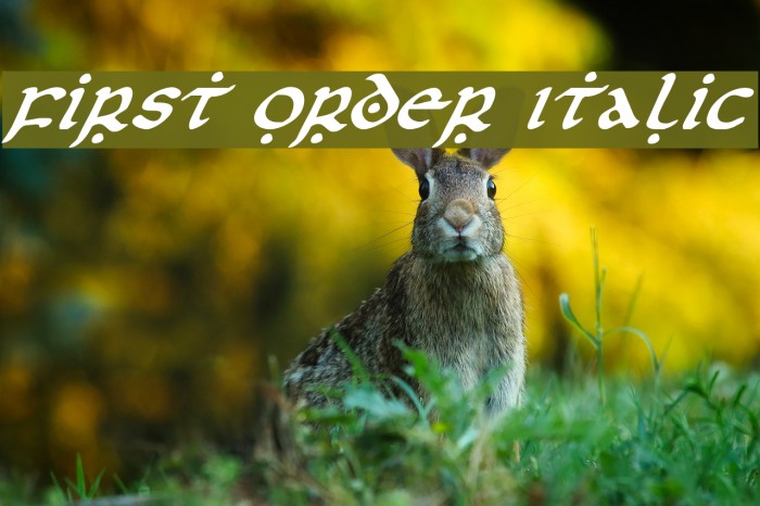 First Order Italic Font examples