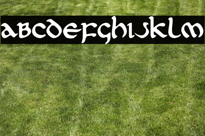 First Order Plain Example 2