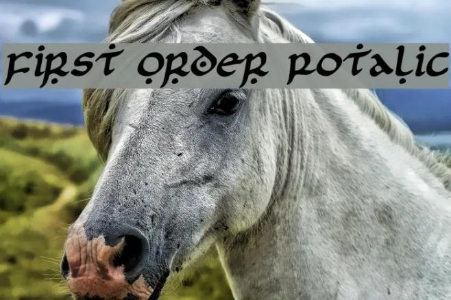 First Order Rotalic Example 3