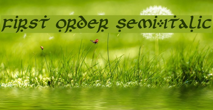 First Order Semi-Italic Example 1