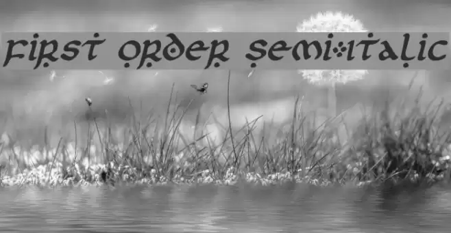 First Order Semi-Italic Font examples