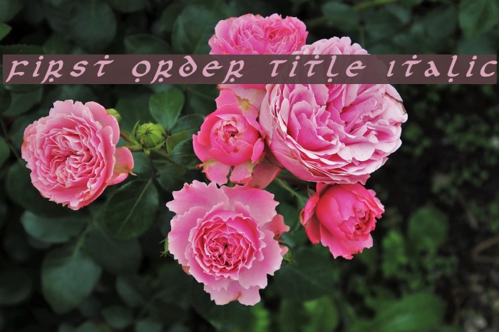 First Order Title Italic Font examples