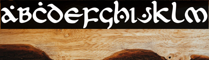 First Order Example 2