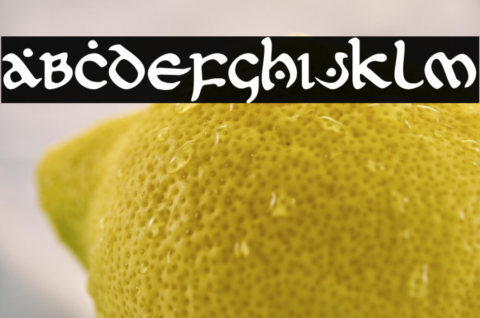 First Order Example 3