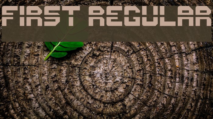 First Regular Font examples