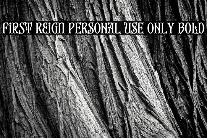 First Reign PERSONAL USE ONLY Bold Example 3