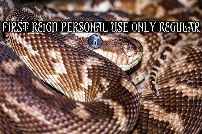 First Reign PERSONAL USE ONLY Regular Example 1