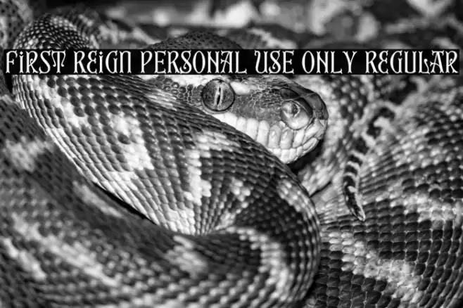 First Reign PERSONAL USE ONLY Regular Font examples