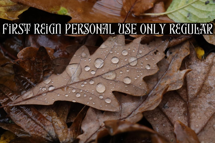 First Reign PERSONAL USE ONLY Regular Example 3