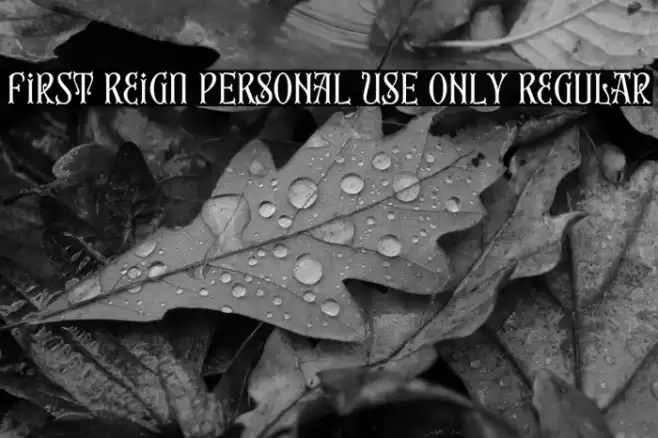 First Reign PERSONAL USE ONLY Regular Font examples