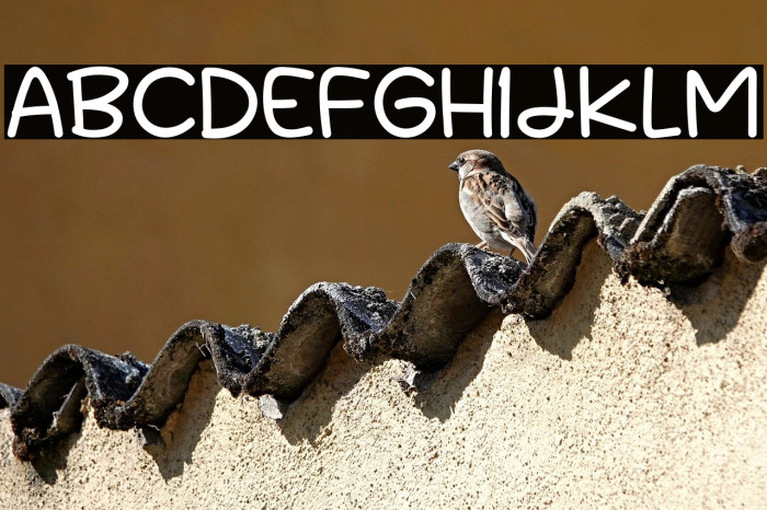 First School Example 1