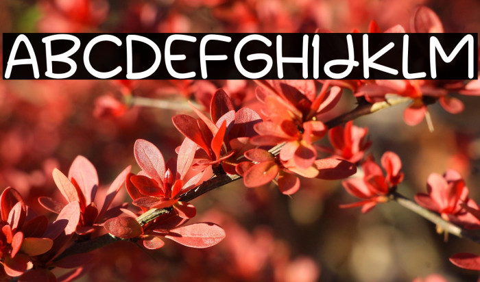 First School Example 2