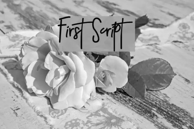 First Script Font examples