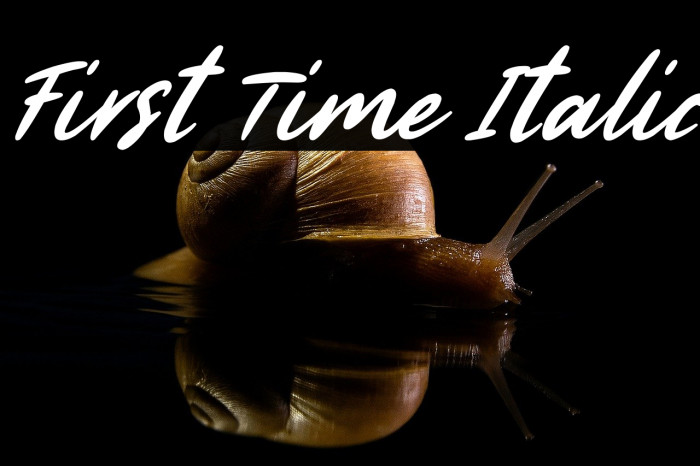 First Time Italic Example 3