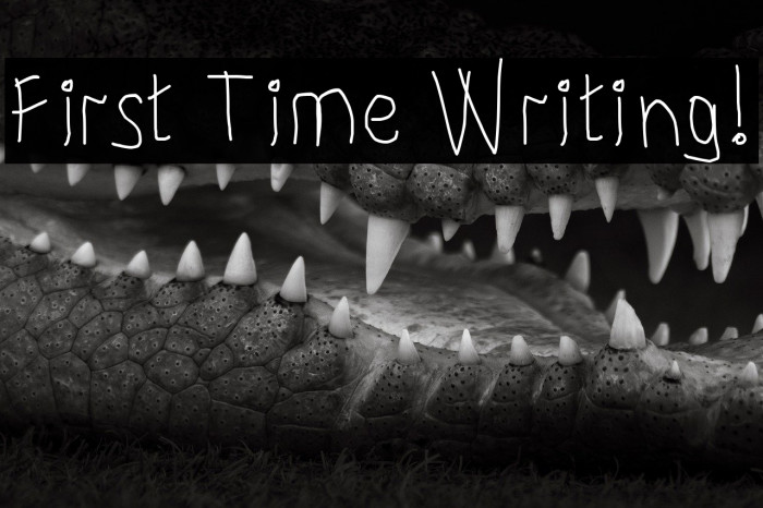 First Time Writing! Example 2