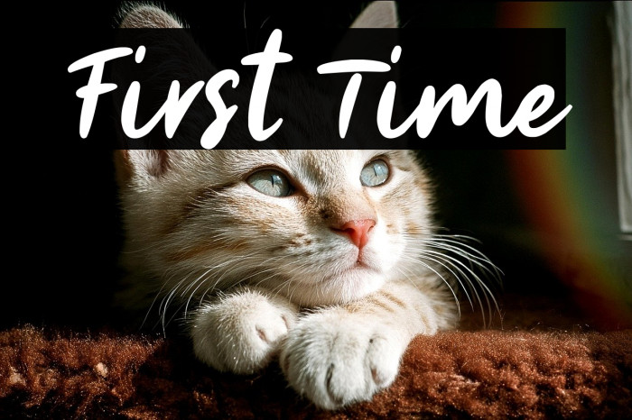 First Time Example 3