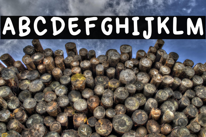 First Trial Regular Example 2