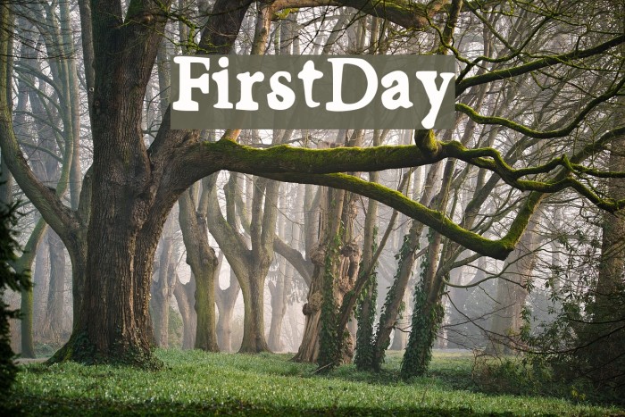 FirstDay Font examples