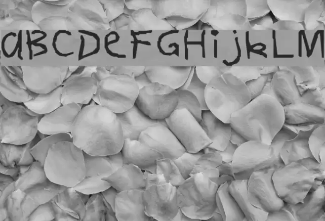 FirstGrader-Normal Font examples