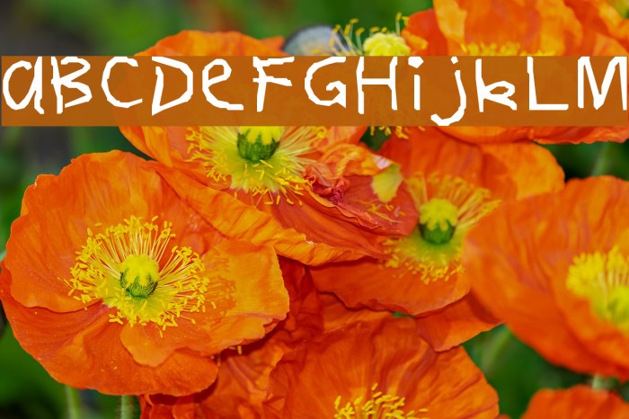 FirstGrader-Normal Example 2