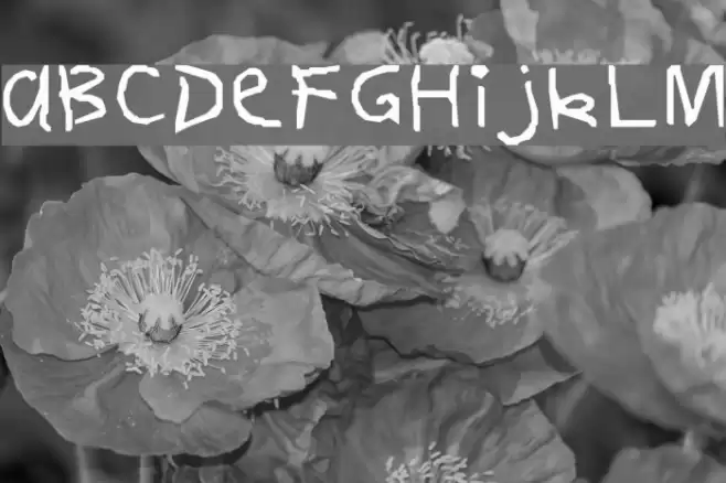 FirstGrader-Normal Font examples