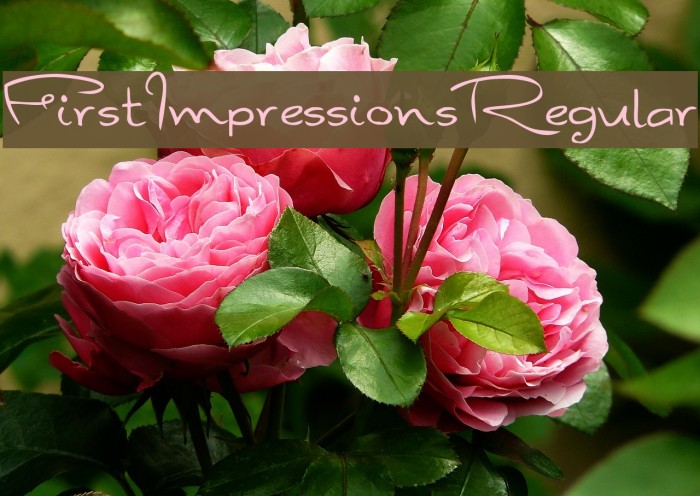FirstImpressions-Regular Font examples