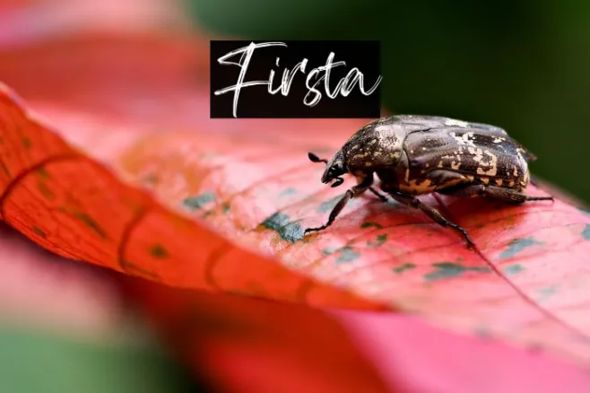 Firsta Example 1
