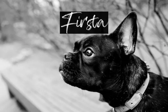 Firsta Example 1