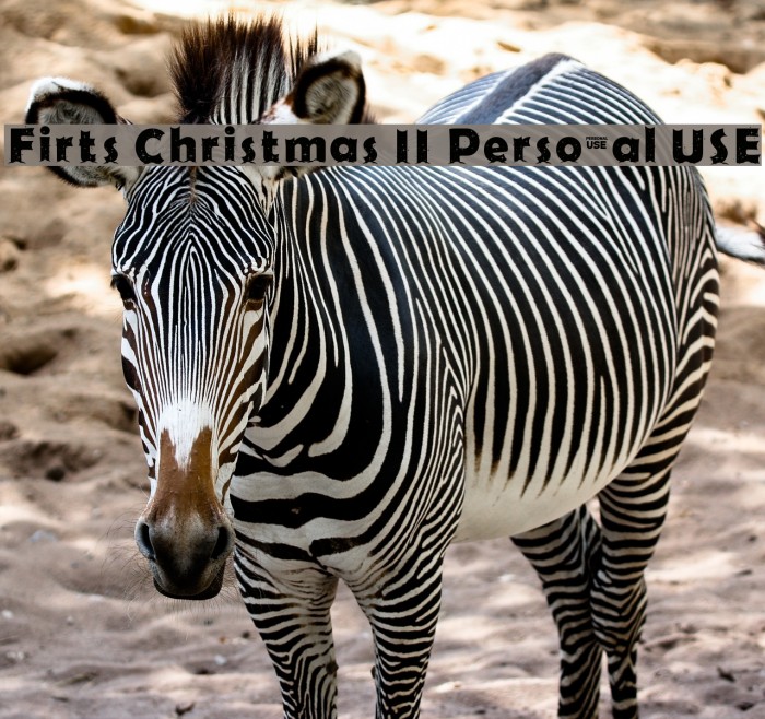 Firts Christmas II Personal USE Example 1