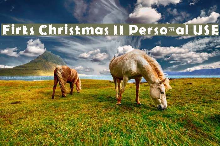 Firts Christmas II Personal USE Example 3