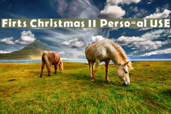 Firts Christmas II Personal USE Example 3