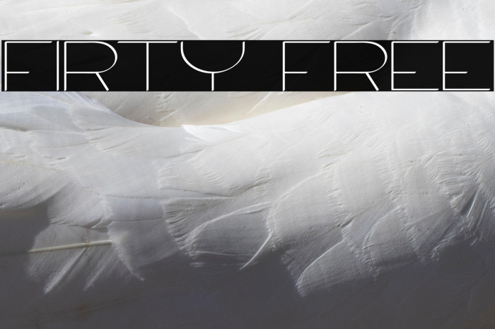 Firty Free Example 2