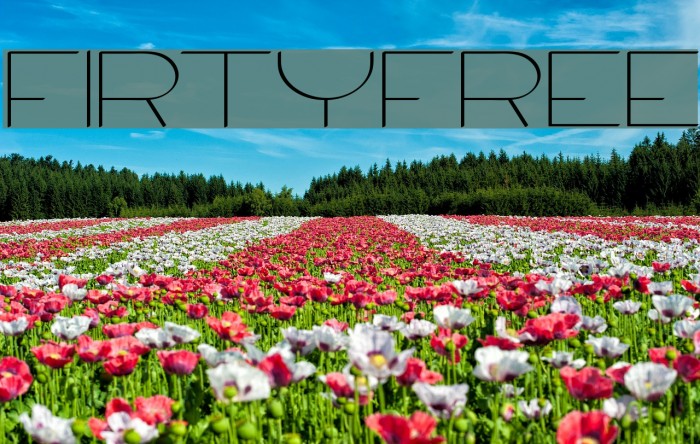 Firty-Free Example 3