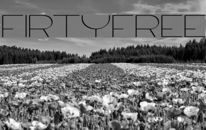 Firty-Free Font examples