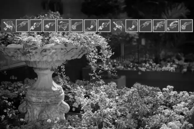 FischersFritze フォント examples