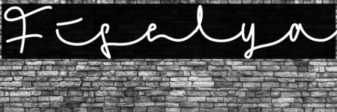 Fiselya Font examples