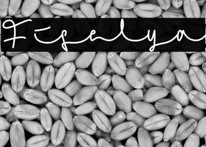 Fiselya Font examples
