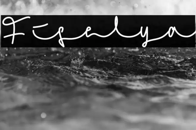 Fiselya Font examples