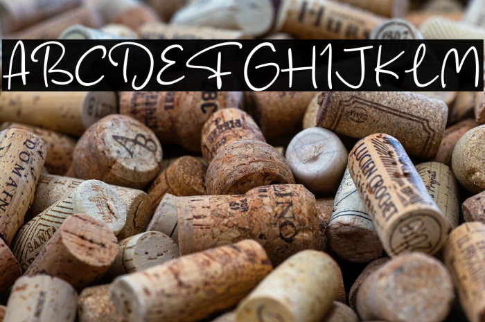 Fish Catcher Example 2