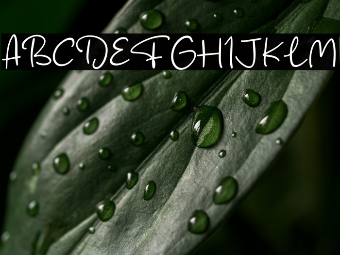 Fish Catcher Example 3