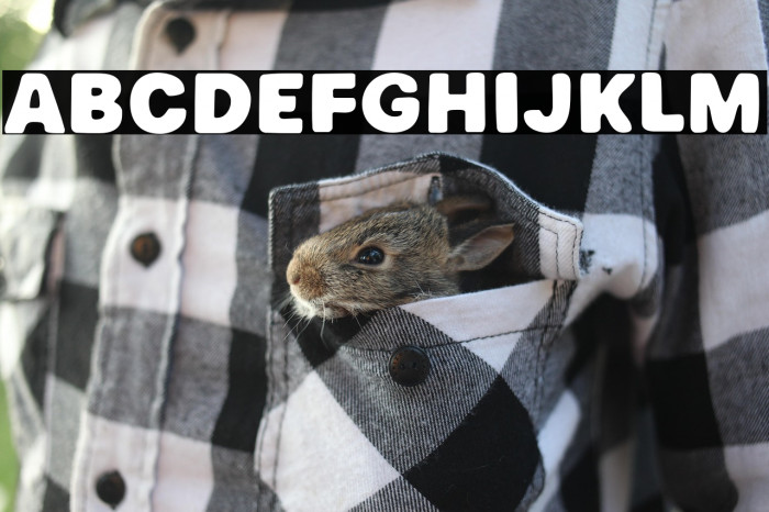 Fish Crispy Example 3