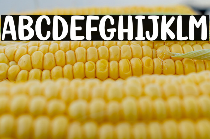 Fish Grill Example 2