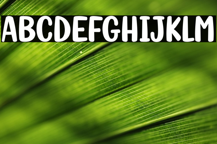 Fish Grill Example 3